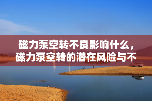 磁力泵空转不良影响什么，磁力泵空转的潜在风险与不良影响解析