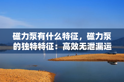 磁力泵有什么特征，磁力泵的独特特征：高效无泄漏运行的关键