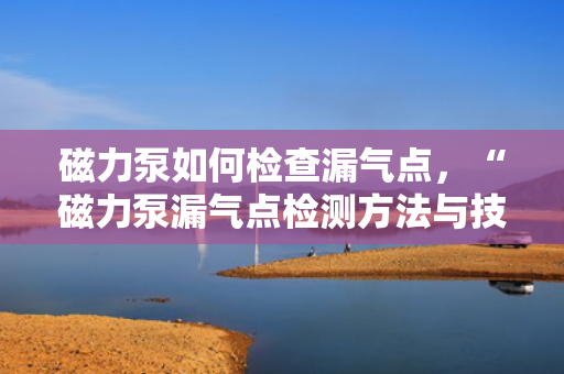 磁力泵如何检查漏气点，“磁力泵漏气点检测方法与技巧”