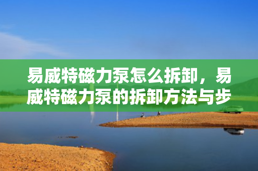 易威特磁力泵怎么拆卸，易威特磁力泵的拆卸方法与步骤解析
