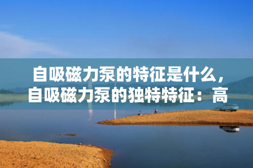 自吸磁力泵的特征是什么，自吸磁力泵的独特特征：高效自吸与强大磁力驱动的结合
