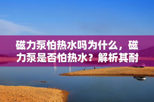 磁力泵怕热水吗为什么，磁力泵是否怕热水？解析其耐热性能及原因