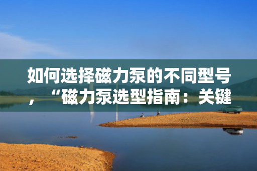 如何选择磁力泵的不同型号，“磁力泵选型指南：关键步骤与考虑因素助力挑选最适合型号”