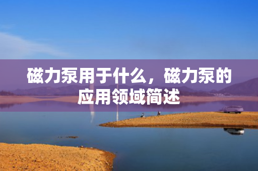 磁力泵用于什么，磁力泵的应用领域简述