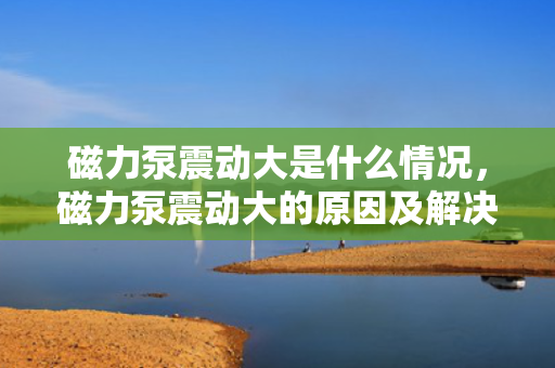 磁力泵震动大是什么情况，磁力泵震动大的原因及解决方法探讨