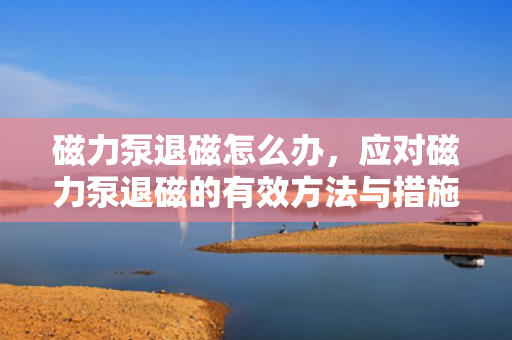 磁力泵退磁怎么办，应对磁力泵退磁的有效方法与措施