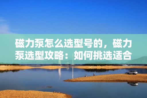 磁力泵怎么选型号的，磁力泵选型攻略：如何挑选适合的磁力泵型号