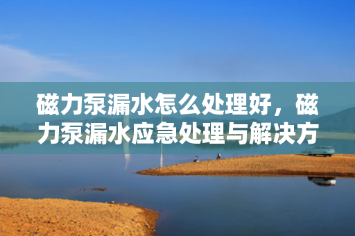 磁力泵漏水怎么处理好，磁力泵漏水应急处理与解决方案