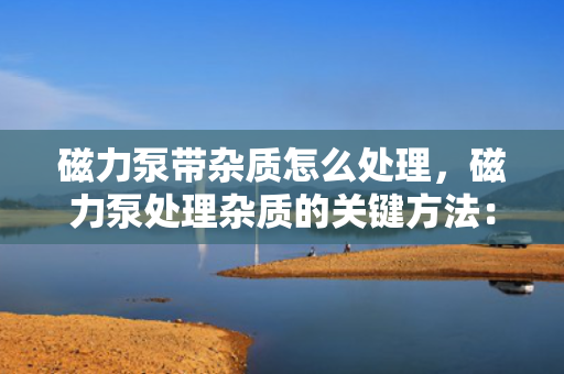 磁力泵带杂质怎么处理，磁力泵处理杂质的关键方法：有效清除与防止堵塞