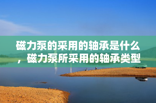磁力泵的采用的轴承是什么，磁力泵所采用的轴承类型揭秘：确保高效稳定运行的关键部件