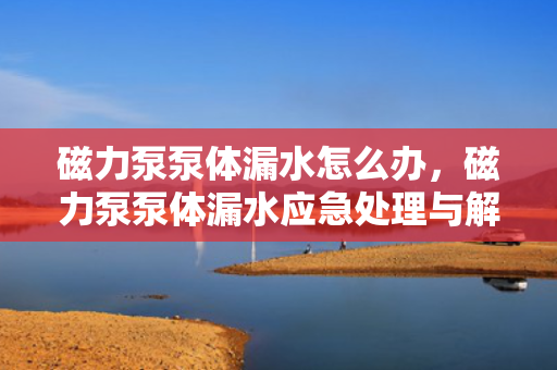 磁力泵泵体漏水怎么办，磁力泵泵体漏水应急处理与解决方案
