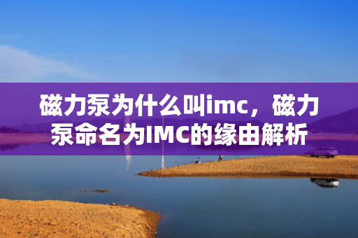磁力泵为什么叫imc，磁力泵命名为IMC的缘由解析