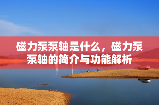 磁力泵泵轴是什么，磁力泵泵轴的简介与功能解析