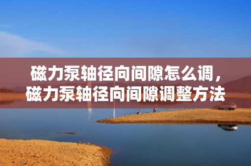 磁力泵轴径向间隙怎么调，磁力泵轴径向间隙调整方法简述