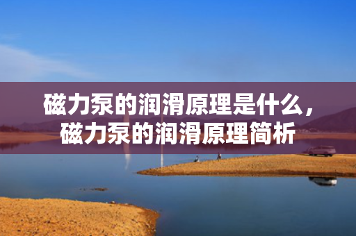 磁力泵的润滑原理是什么，磁力泵的润滑原理简析