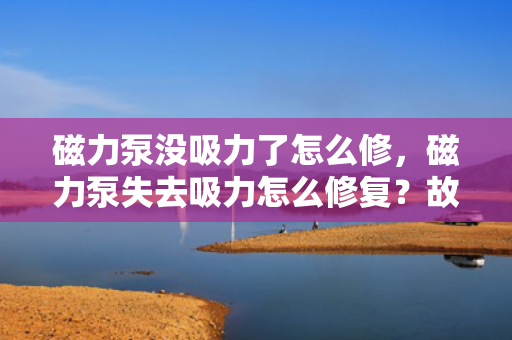 磁力泵没吸力了怎么修，磁力泵失去吸力怎么修复？故障排查与解决方案一览