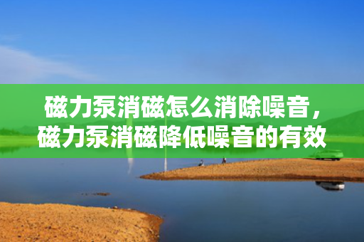 磁力泵消磁怎么消除噪音，磁力泵消磁降低噪音的有效方法