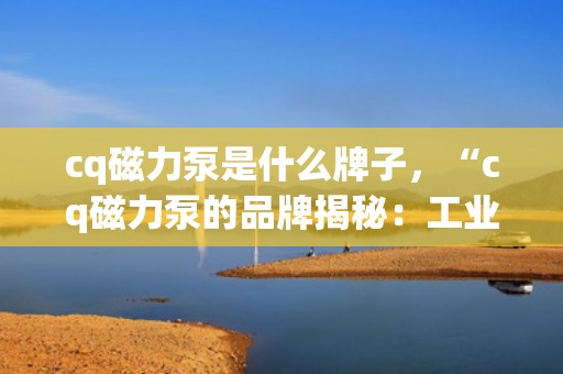 cq磁力泵是什么牌子，“cq磁力泵的品牌揭秘：工业领域的明星产品”