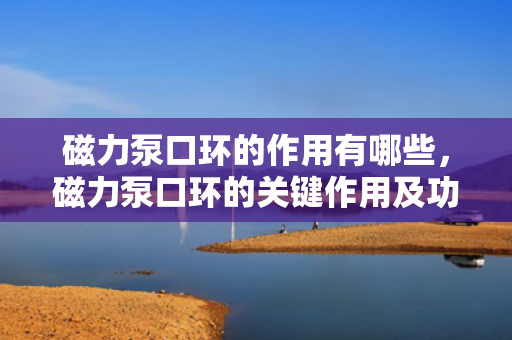 磁力泵口环的作用有哪些，磁力泵口环的关键作用及功能解析
