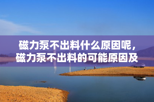 磁力泵不出料什么原因呢，磁力泵不出料的可能原因及解决方案
