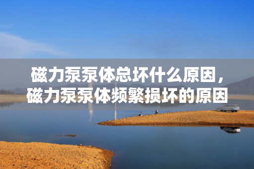 磁力泵泵体总坏什么原因，磁力泵泵体频繁损坏的原因解析