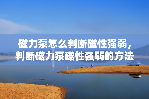 磁力泵怎么判断磁性强弱，判断磁力泵磁性强弱的方法与技巧