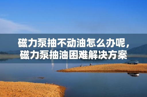 磁力泵抽不动油怎么办呢，磁力泵抽油困难解决方案