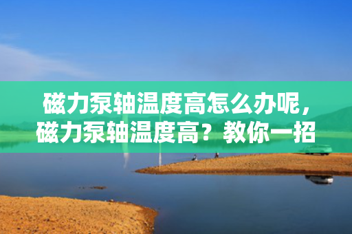 磁力泵轴温度高怎么办呢，磁力泵轴温度高？教你一招轻松解决！