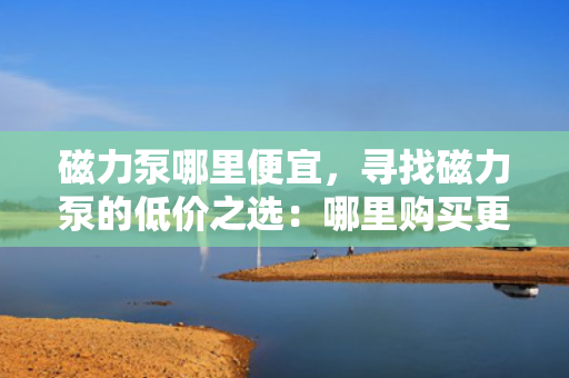 磁力泵哪里便宜，寻找磁力泵的低价之选：哪里购买更实惠？