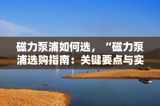 磁力泵浦如何选，“磁力泵浦选购指南：关键要点与实用建议”