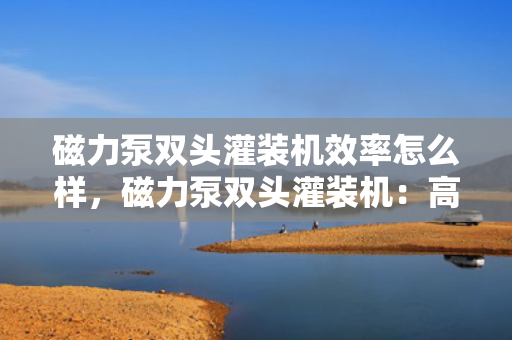 磁力泵双头灌装机效率怎么样，磁力泵双头灌装机：高效稳定的灌装解决方案