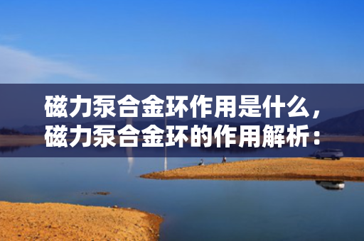 磁力泵合金环作用是什么，磁力泵合金环的作用解析：提升密封性能与运行稳定性