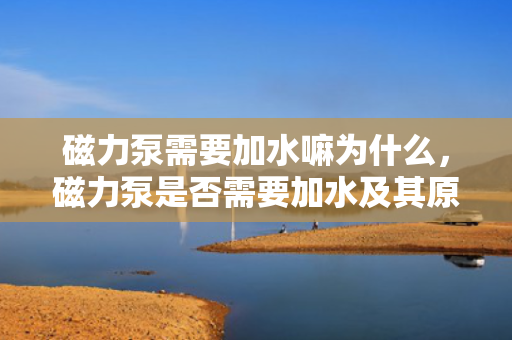 磁力泵需要加水嘛为什么，磁力泵是否需要加水及其原因解析