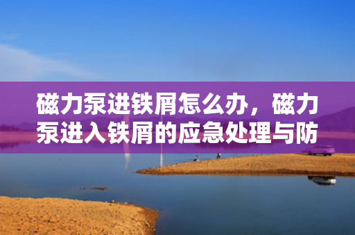 磁力泵进铁屑怎么办，磁力泵进入铁屑的应急处理与防范措施