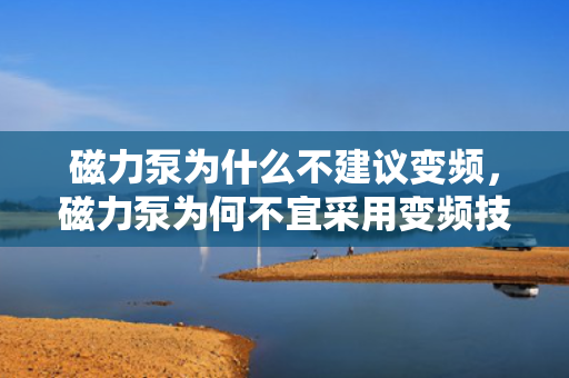 磁力泵为什么不建议变频，磁力泵为何不宜采用变频技术：解析其潜在风险与限制