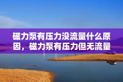 磁力泵有压力没流量什么原因，磁力泵有压力但无流量的原因解析