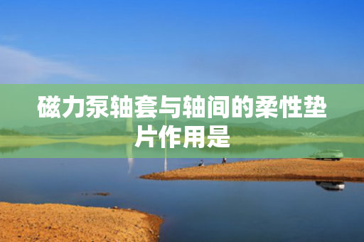磁力泵轴套与轴间的柔性垫片作用是