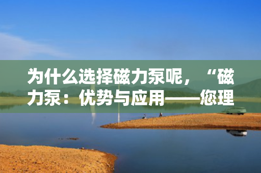 为什么选择磁力泵呢，“磁力泵：优势与应用——您理想的选择理由”