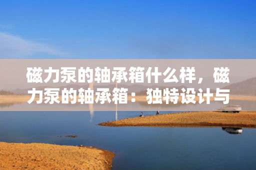 磁力泵的轴承箱什么样，磁力泵的轴承箱：独特设计与功能全解
