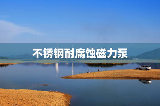 不锈钢耐腐蚀磁力泵