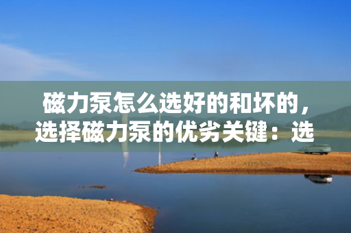 磁力泵怎么选好的和坏的，选择磁力泵的优劣关键：选购指南与判别技巧