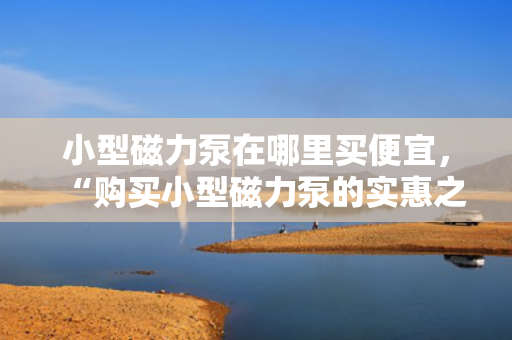 小型磁力泵在哪里买便宜，“购买小型磁力泵的实惠之选：哪里能找到价格更优惠的磁力泵？”