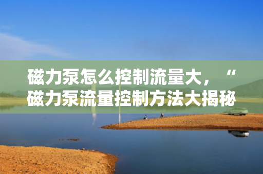 磁力泵怎么控制流量大，“磁力泵流量控制方法大揭秘：轻松实现大流量调控”