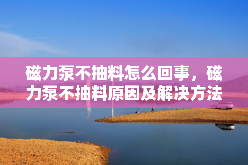 磁力泵不抽料怎么回事，磁力泵不抽料原因及解决方法
