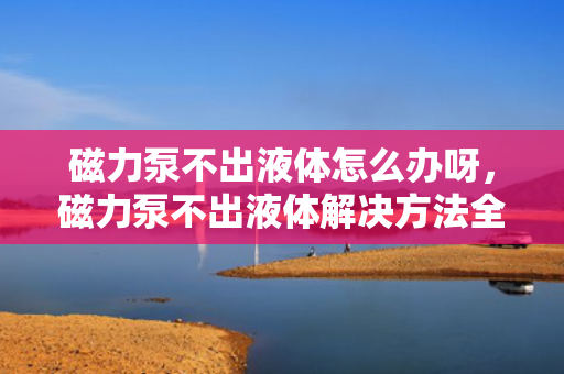 磁力泵不出液体怎么办呀，磁力泵不出液体解决方法全攻略：快速定位问题，轻松恢复泵的正常运行