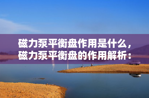 磁力泵平衡盘作用是什么，磁力泵平衡盘的作用解析：确保泵的稳定运行与高效性能