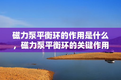 磁力泵平衡环的作用是什么，磁力泵平衡环的关键作用：维护稳定运行与提高效率