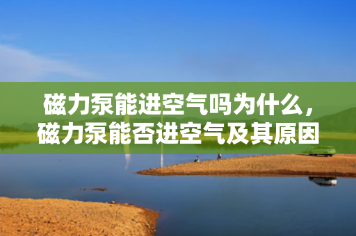磁力泵能进空气吗为什么，磁力泵能否进空气及其原因解析