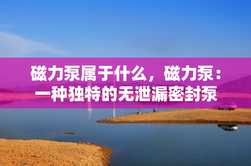 磁力泵属于什么，磁力泵：一种独特的无泄漏密封泵