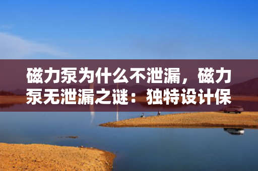 磁力泵为什么不泄漏，磁力泵无泄漏之谜：独特设计保障高效安全运行
